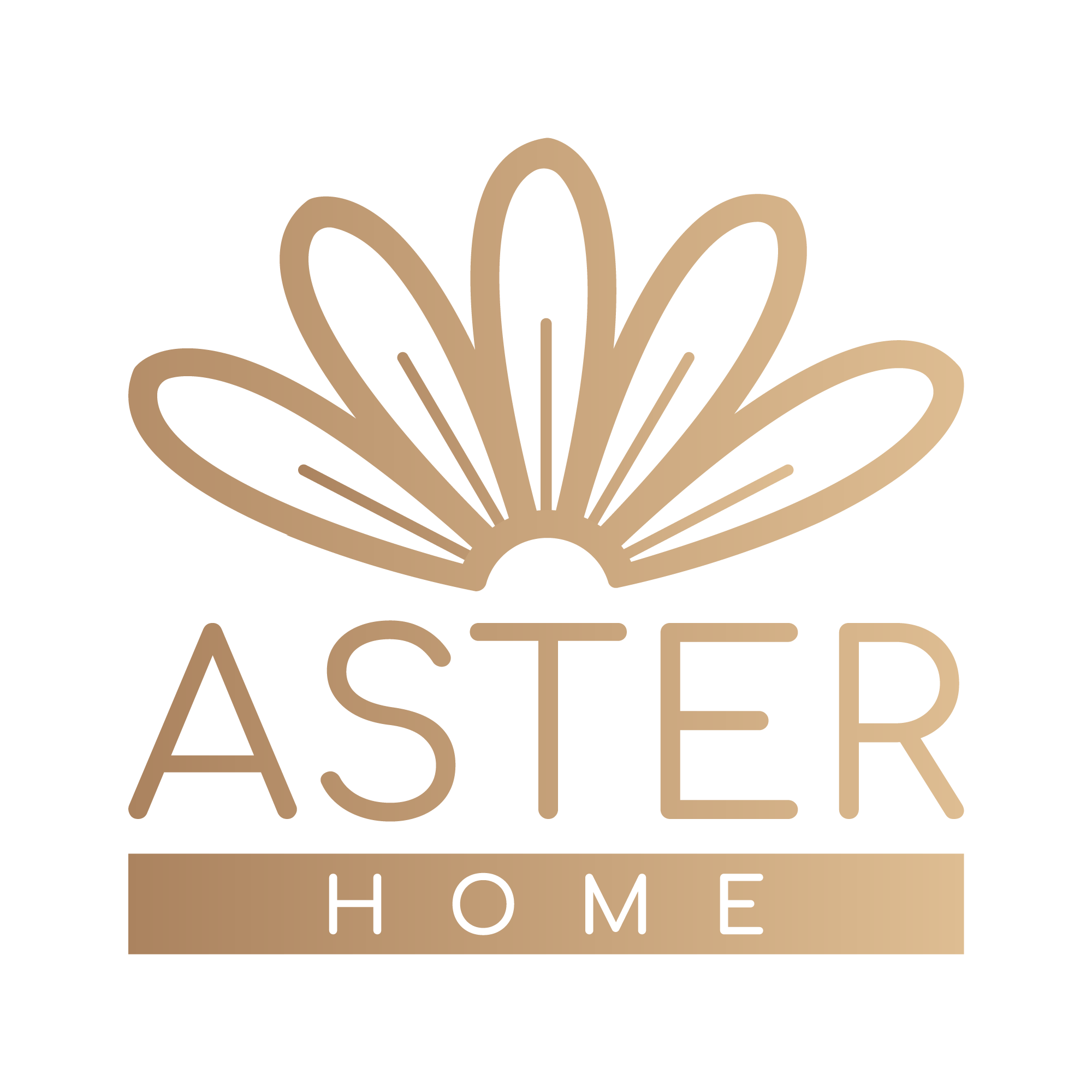 Aster Home